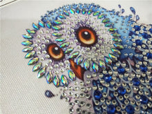 Load image into Gallery viewer, Staring Owl - Special Diamond Painting