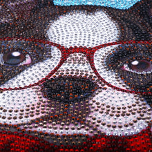 Load image into Gallery viewer, Sophisticated Special Diamond Painting