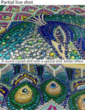 Load image into Gallery viewer, Peacock &amp; Butterfly - Special Diamond Painting