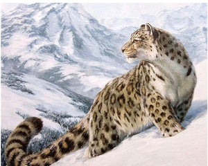Snow Leopard on Snowy Mountain