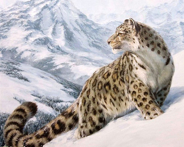 Snow Leopard on Snowy Mountain