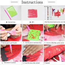 Load image into Gallery viewer, Beautiful Princess Pony Diamond Painting Kit