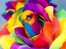 Load image into Gallery viewer, Attractive Multi color Roses - Paint by Diamonds