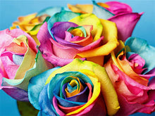 Load image into Gallery viewer, Attractive Multi color Roses - Paint by Diamonds