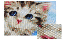 Load image into Gallery viewer, Incredible Realistic Cute Cats