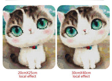 Load image into Gallery viewer, Adorable Little Cat with Big Eyes