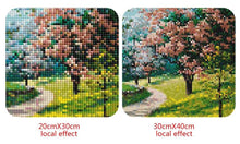 Load image into Gallery viewer, Beautiful Natural Landscapes