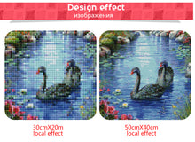 Load image into Gallery viewer, Wonderful Swans in a Beautiful Natural Pond