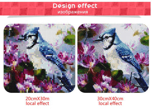 Beautiful Birds and Flowers Diamond Art Kits