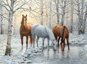 Beautiful Horses in Winter