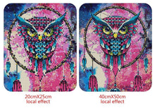 Load image into Gallery viewer, Colorful Big Dream Catcher Owl