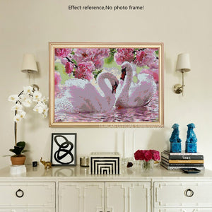 Beautiful Swan Couple & Pink Roses