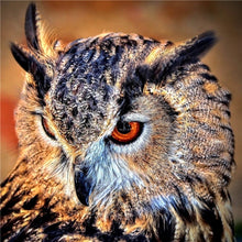 Load image into Gallery viewer, Angry Big Owl Diamond Painting
