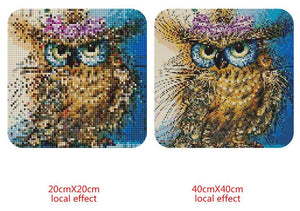 Beautiful Owl Square Diamond Kit