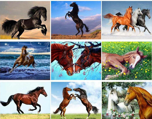 Beautiful Horse Diamond Paintings