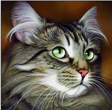 Load image into Gallery viewer, Cute Cat with Beautiful Eyes Diamond Painting Kit