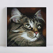 Load image into Gallery viewer, Cute Cat with Beautiful Eyes Diamond Painting Kit