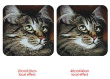 Load image into Gallery viewer, Cute Cat with Beautiful Eyes Diamond Painting Kit