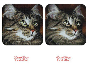 Cute Cat with Beautiful Eyes Diamond Painting Kit