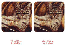 Load image into Gallery viewer, Amazing Cat Reading Newspaper Diamond Art Kit