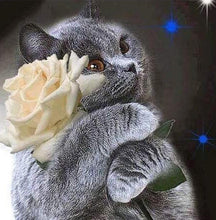 Load image into Gallery viewer, Beautiful White &amp; Black Cat