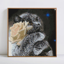 Load image into Gallery viewer, Beautiful White &amp; Black Cat