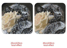 Load image into Gallery viewer, Beautiful White &amp; Black Cat