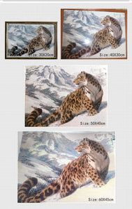 Snow Leopard on Snowy Mountain
