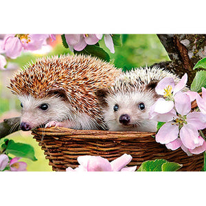 Adorable Hedgehog Couple in the Flowers