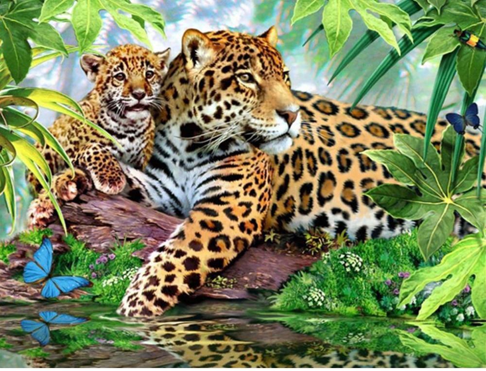 Wonderful Leopard
