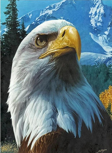 american eagle diamond painting