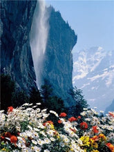 Load image into Gallery viewer, Purple Forest