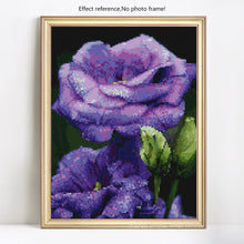 Load image into Gallery viewer, Romantic Rose Painting Kits