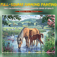 Load image into Gallery viewer, Mare with the Colt | Diamond Art