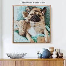 Load image into Gallery viewer, Cute Angry Dog Diamonds Painting