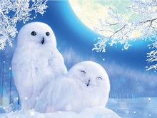 Load image into Gallery viewer, owl diamond painting