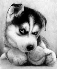 Load image into Gallery viewer, cute puppy diamond painting