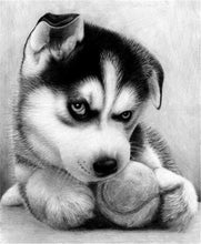Load image into Gallery viewer, Angry Black &amp; White Puppy Paint by Diamonds