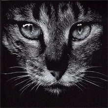 Load image into Gallery viewer, black white cat diamond art