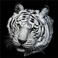 Load image into Gallery viewer, tiger diamond by numbers