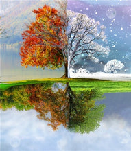 Load image into Gallery viewer, diy paintings for adults