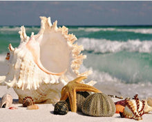 Load image into Gallery viewer, Beautiful Florida Island