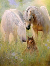 Load image into Gallery viewer, White &amp; Brown Horses Diamond Paintings
