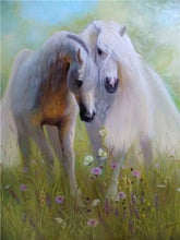 Load image into Gallery viewer, White &amp; Brown Horses Diamond Paintings