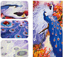 Load image into Gallery viewer, Peacock Couple Special Shaped Paint by Diamonds
