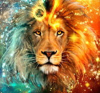 DIY 5D Diamond Painting Kits For Adults - York Terrier Dog Is Shown In Diamond Art Kits Adults Gem Art Kits Gift Home Wall Dec 33fdf2e1 0ee3 4e08 9c76 1d9216a1864d.93ca823e1467812ad857a8265beb3ba0 DIY 5D Diamond Painting Kits For Adults - York Terrier Dog Is Shown In Diamond Art Kits Adults Gem Art Kits Gift Home Wall Dec 33fdf2e1 0ee3 4e08 9c76 1d9216a1864d.93ca823e1467812ad857a8265beb3ba0