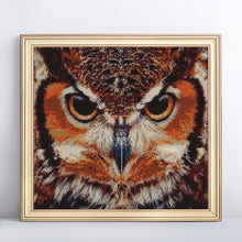 Load image into Gallery viewer, Angry Big Owl Diamond Painting