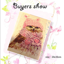 Load image into Gallery viewer, 5D Cute Owl Diamond Painting