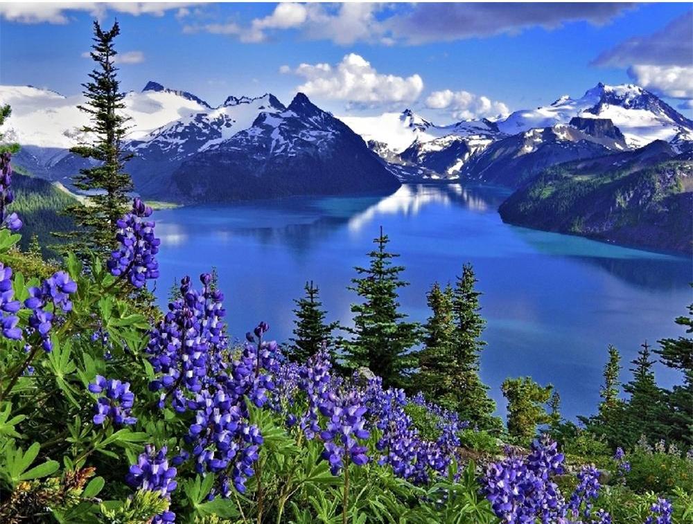 Natural Beautiful Blue Lake
