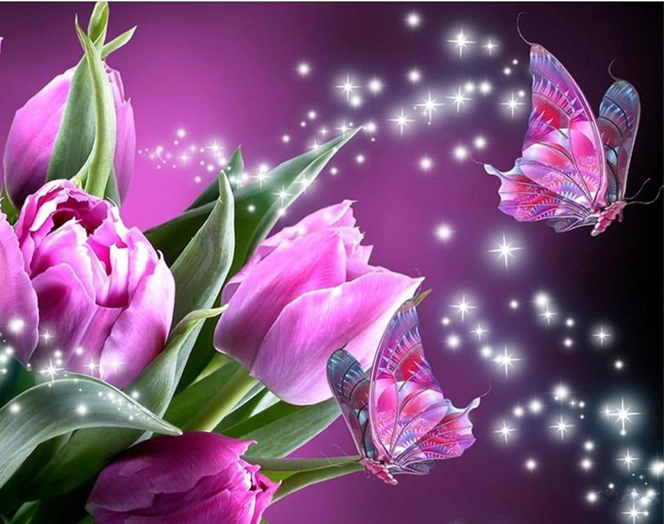 Beautiful Pink Rose & Butterfly